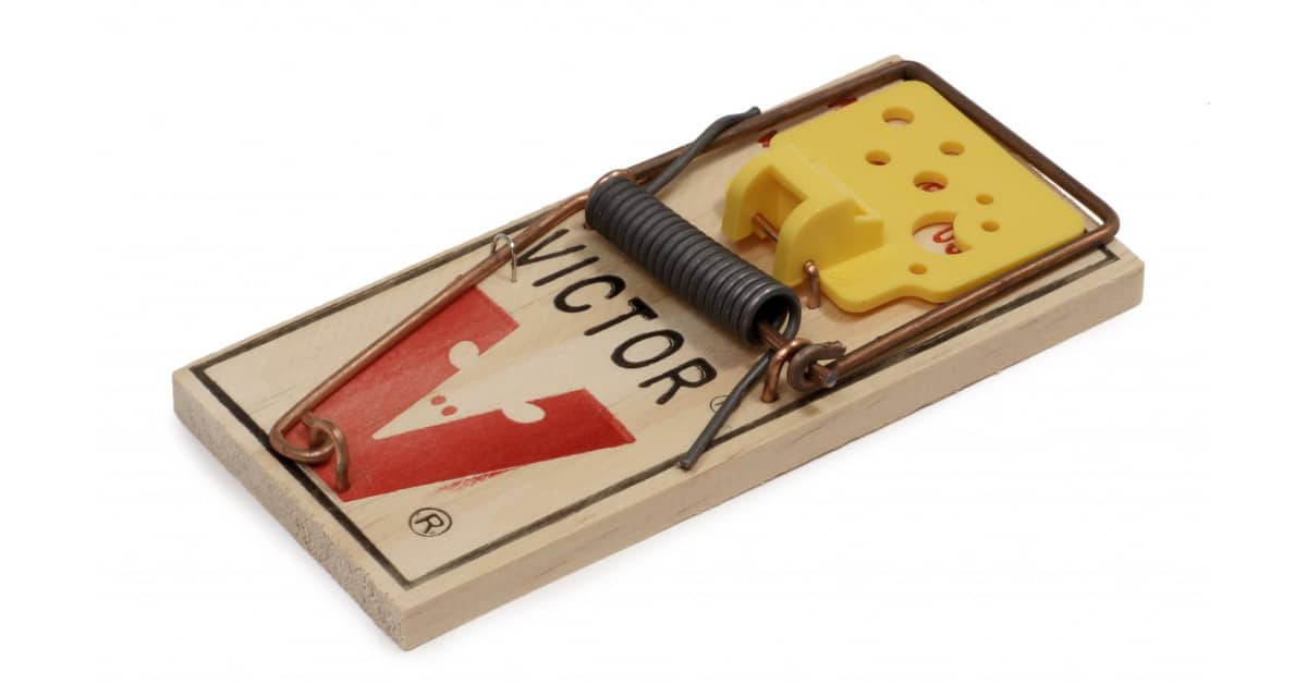 This mouse trap was a TOTAL FAILURE. 